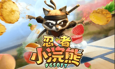 忍者小浣熊